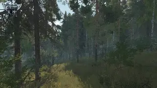 征服私服新手村生存指南：三分钟教你光速注册，告别迷路！